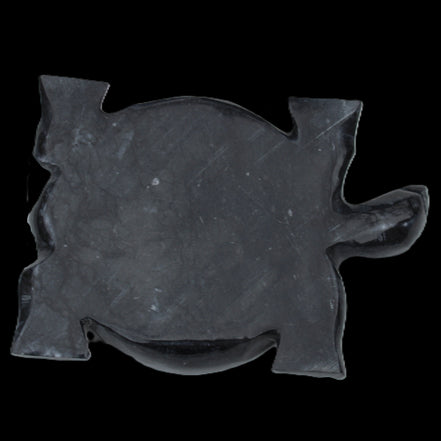 Black Jade hand-carved Turtle platter 155**112*22mm 578g in sunlight - Rocks and Things Store