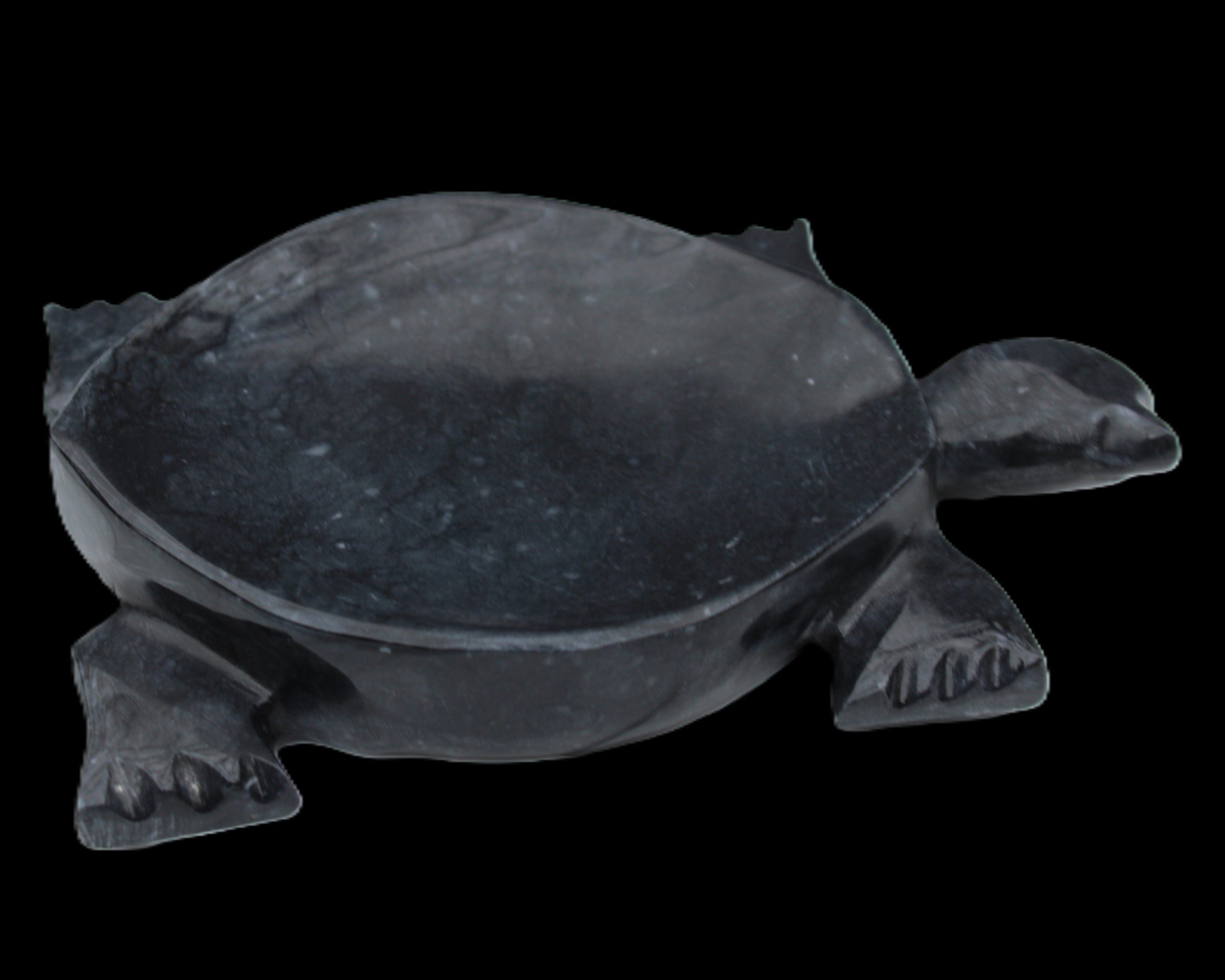 Black Jade hand-carved Turtle platter 155**112*22mm 578g in sunlight - Rocks and Things Store