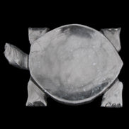 Black Jade hand-carved Turtle platter 155**112*22mm 578g in sunlight - Rocks and Things Store