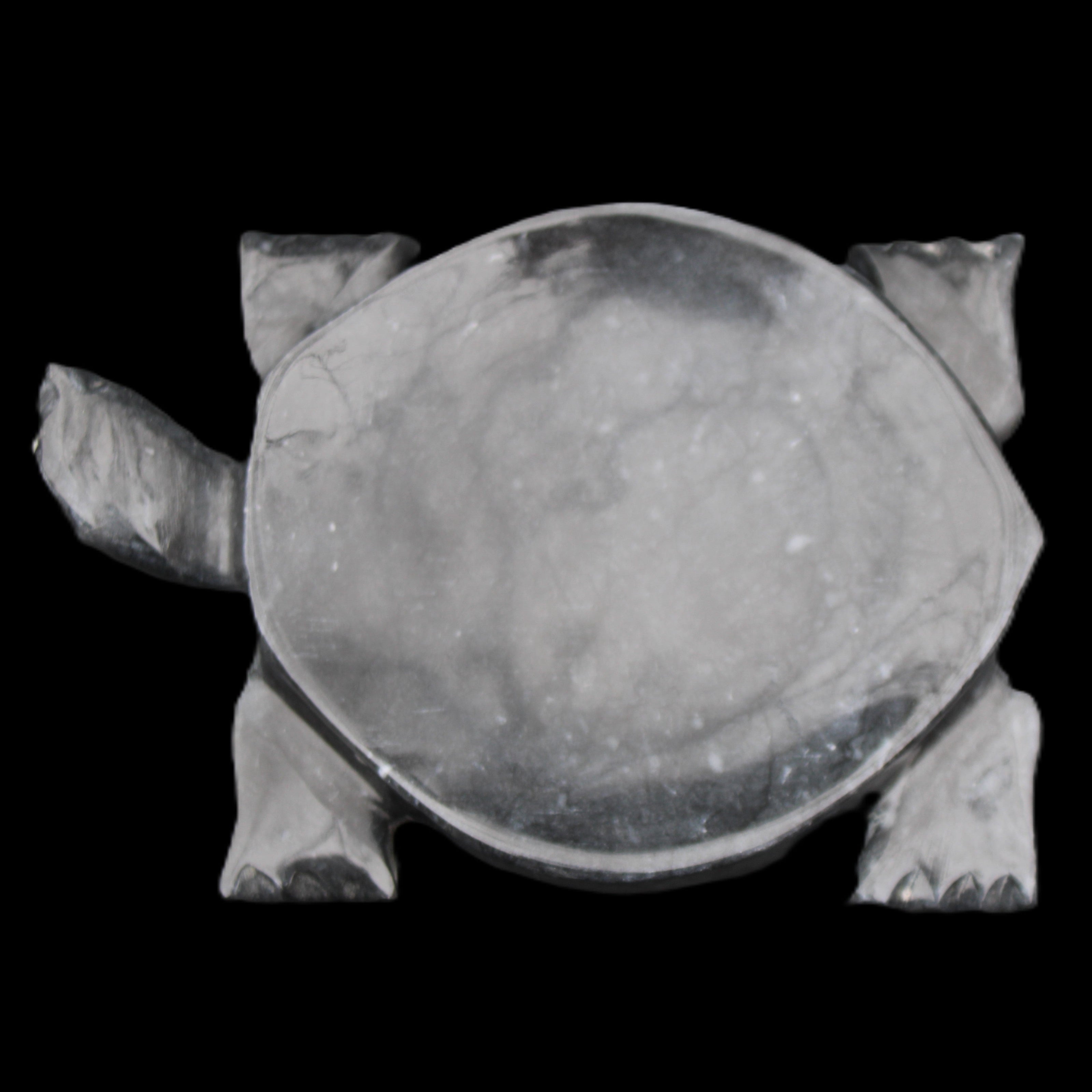 Black Jade hand-carved Turtle platter 155**112*22mm 578g in sunlight - Rocks and Things Store