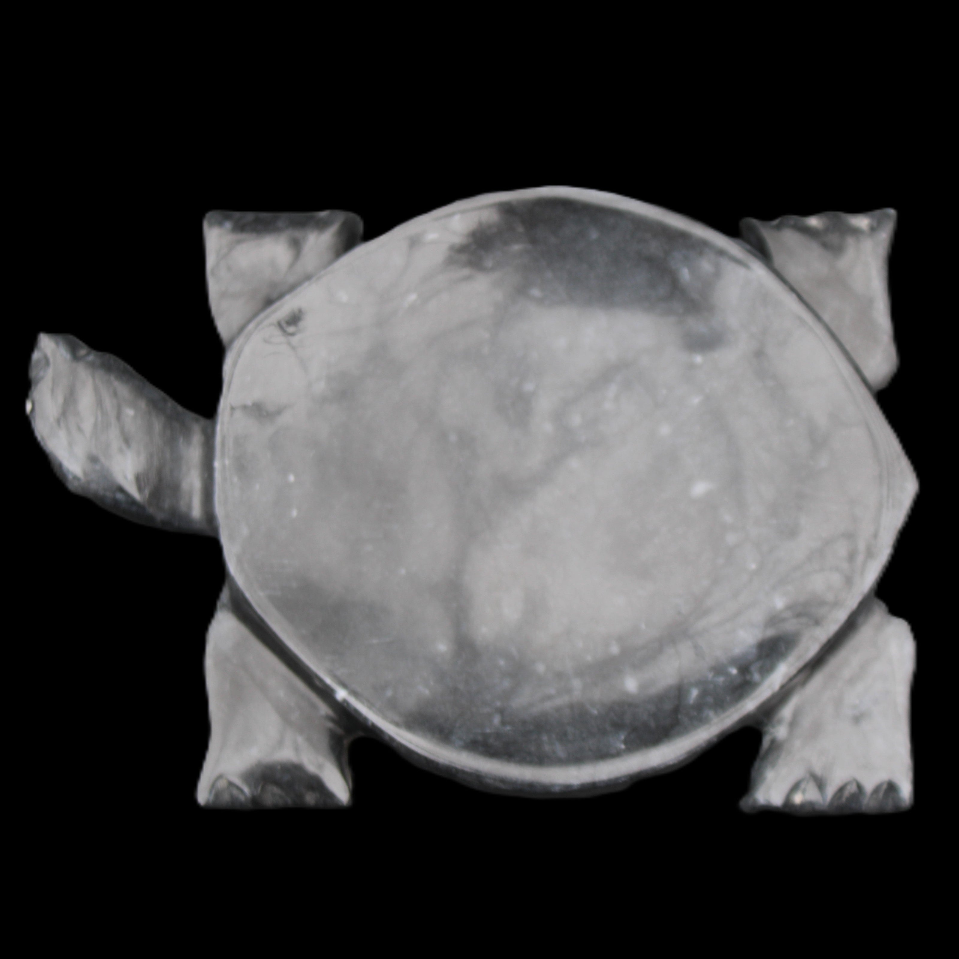 Black Jade hand-carved Turtle platter 155**112*22mm 578g in sunlight - Rocks and Things Store