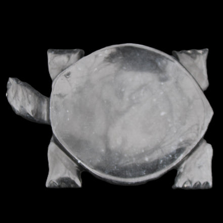 Black Jade hand-carved Turtle platter 155**112*22mm 578g in sunlight - Rocks and Things Store