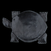 Black Jade hand-carved Turtle platter 155**112*22mm 578g in sunlight - Rocks and Things Store