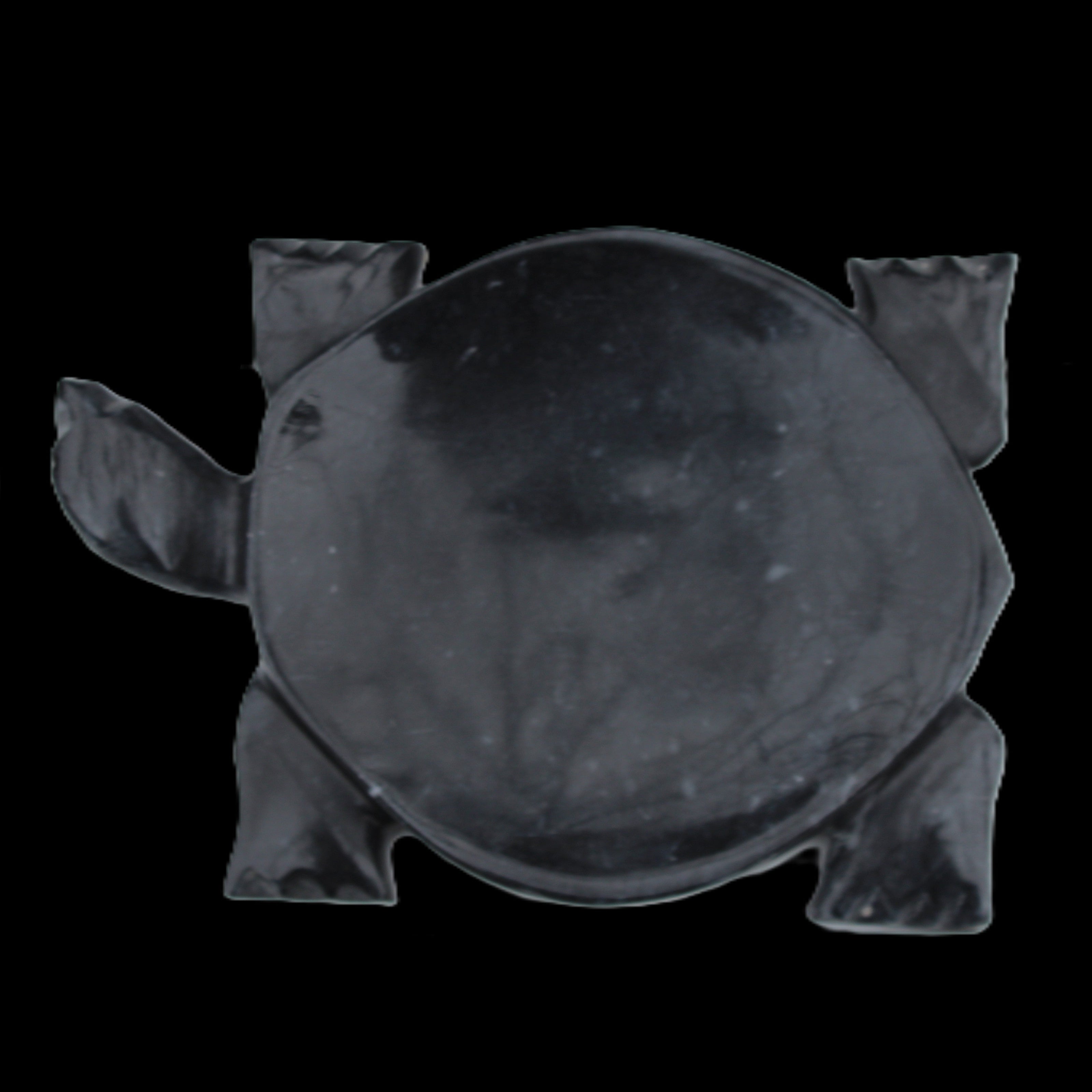 Black Jade hand-carved Turtle platter 155**112*22mm 578g in sunlight - Rocks and Things Store