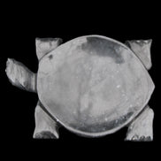 Black Jade hand-carved Turtle platter 155**112*22mm 578g in sunlight - Rocks and Things Store