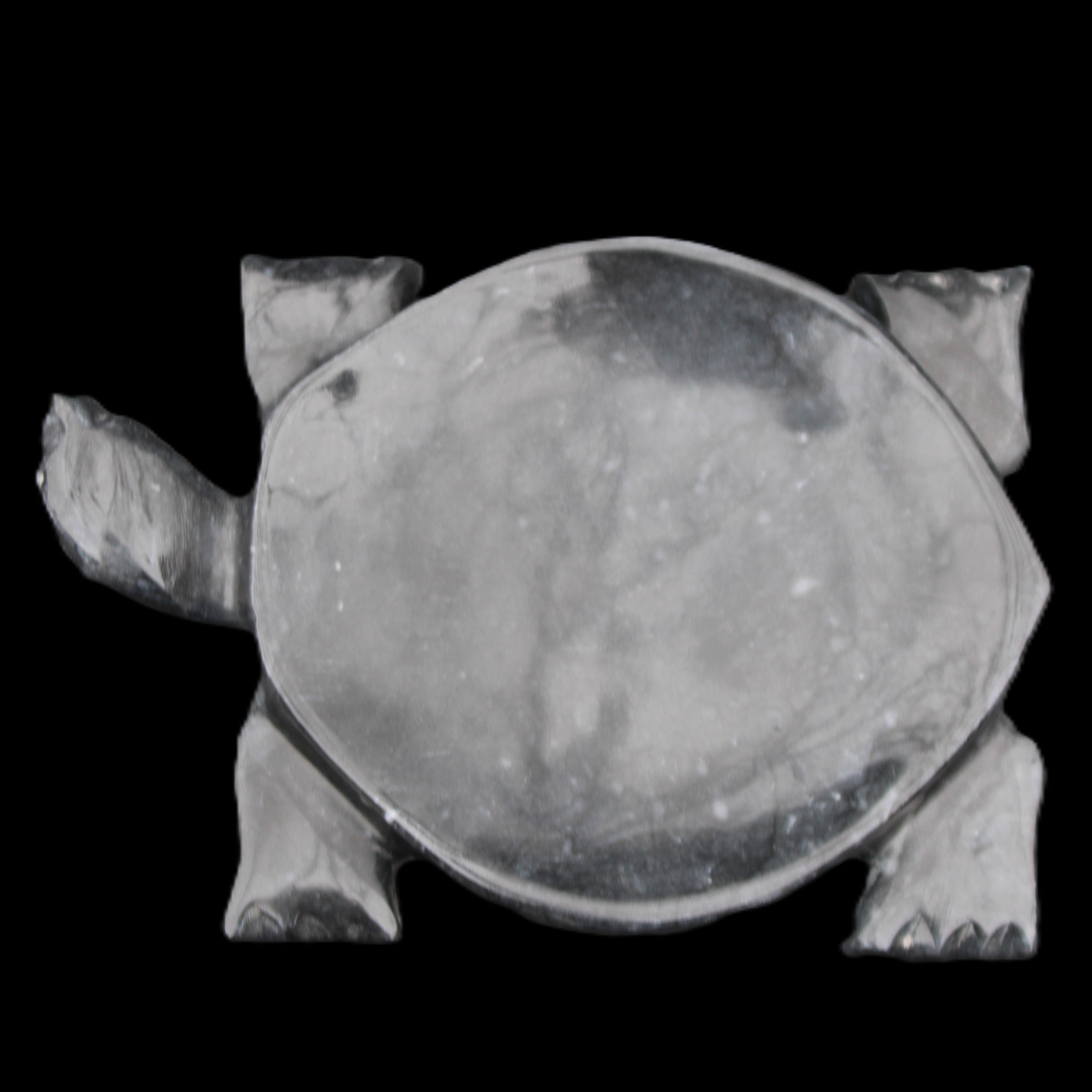 Black Jade hand-carved Turtle platter 155**112*22mm 578g in sunlight - Rocks and Things Store