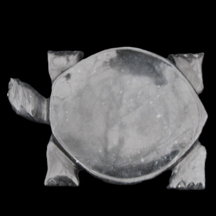 Black Jade hand-carved Turtle platter 155**112*22mm 578g in sunlight - Rocks and Things Store