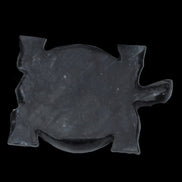 Black Jade hand-carved Turtle platter 155**112*22mm 578g in sunlight - Rocks and Things Store