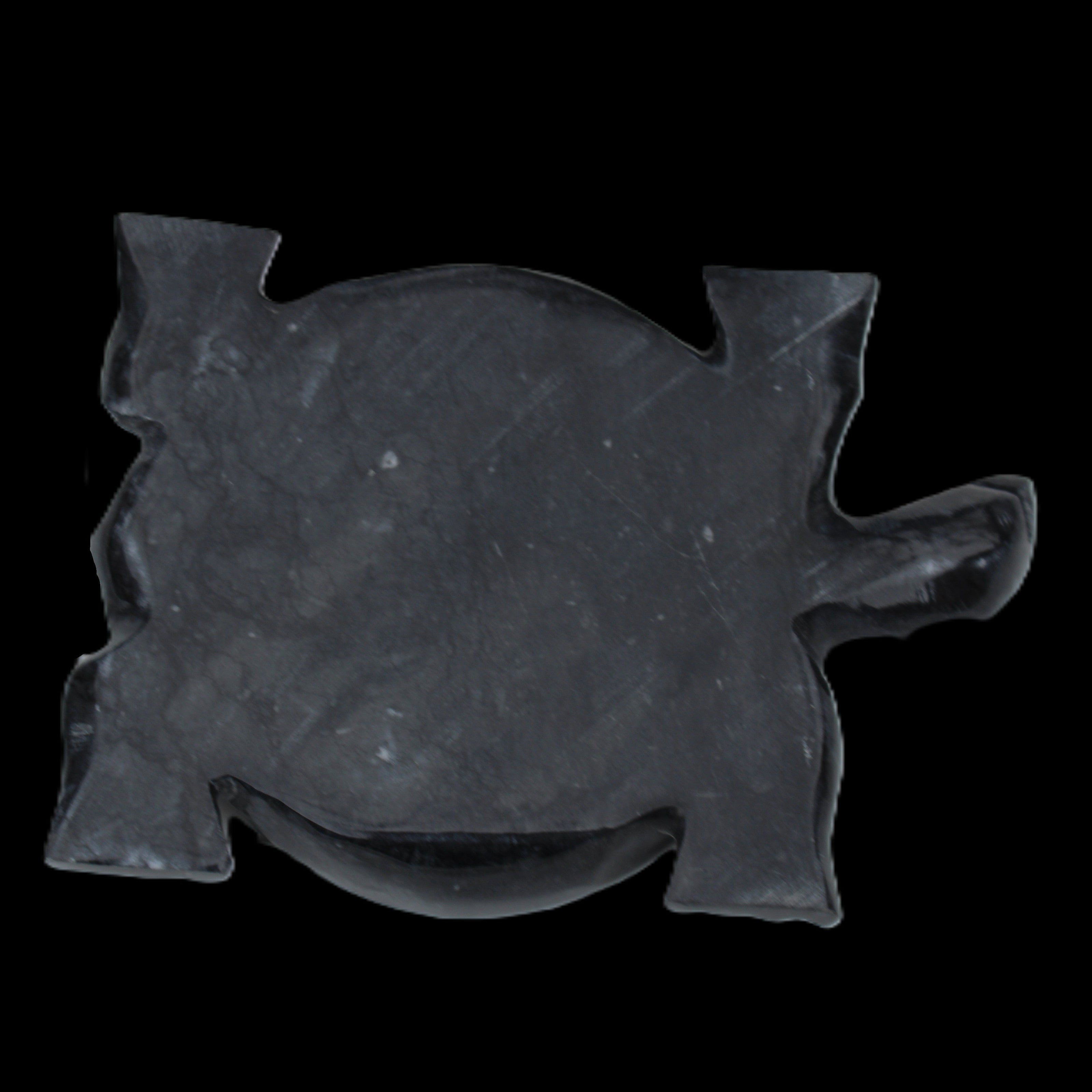 Black Jade hand-carved Turtle platter 155**112*22mm 578g in sunlight - Rocks and Things Store