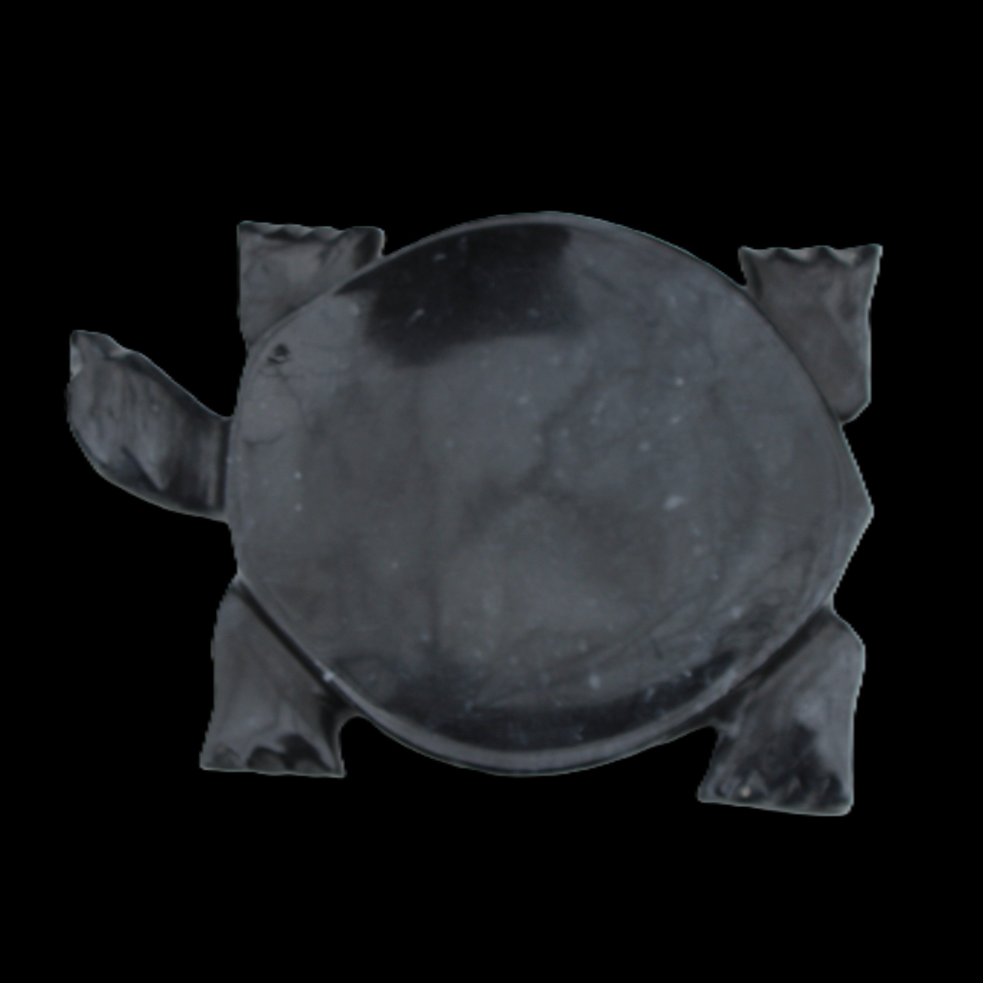 Black Jade hand-carved Turtle platter 155**112*22mm 578g in sunlight - Rocks and Things Store