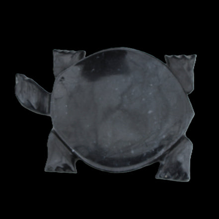 Black Jade hand-carved Turtle platter 155**112*22mm 578g in sunlight - Rocks and Things Store