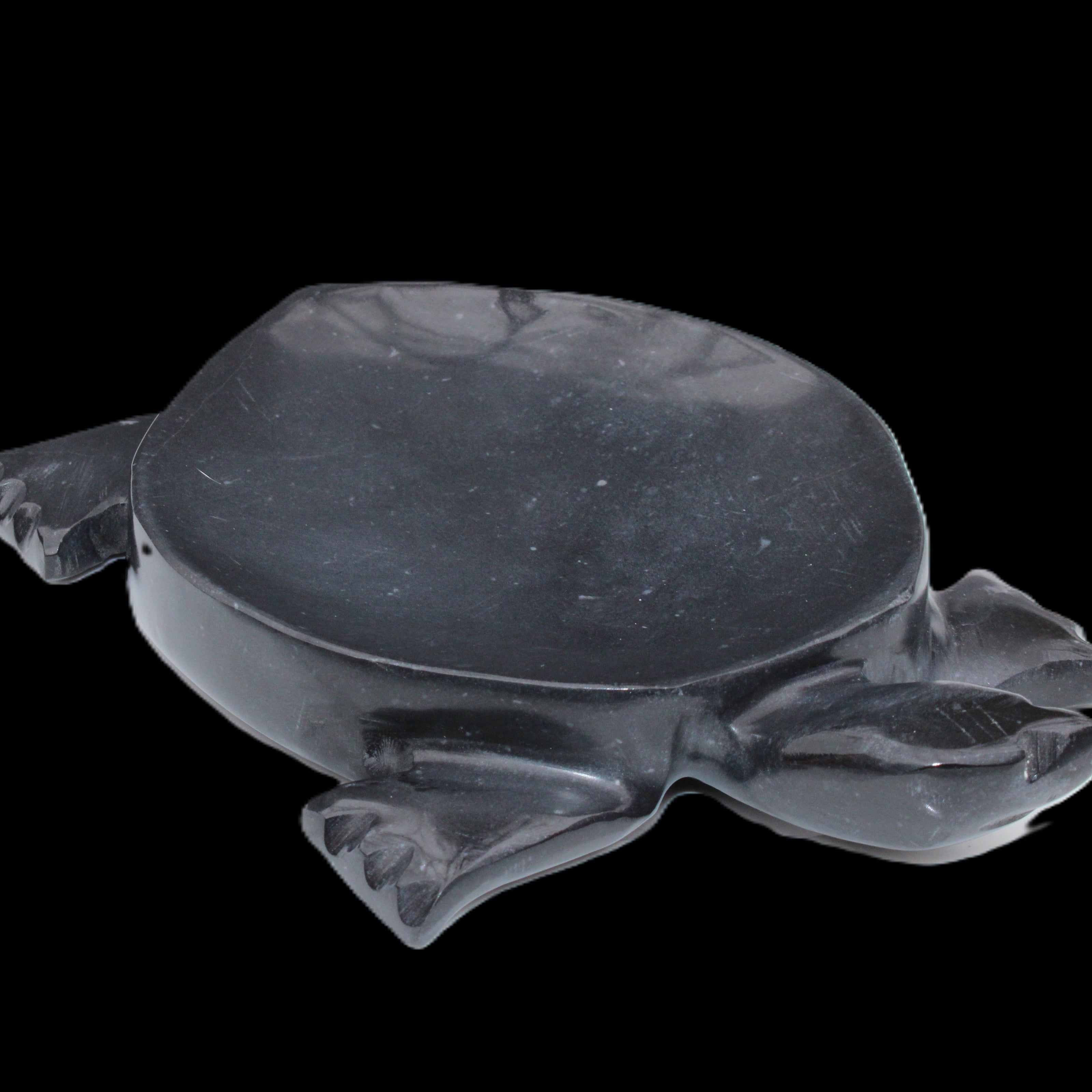 Black Jade hand-carved Turtle platter 152**113*21mm 552g in sunlight - Rocks and Things Store