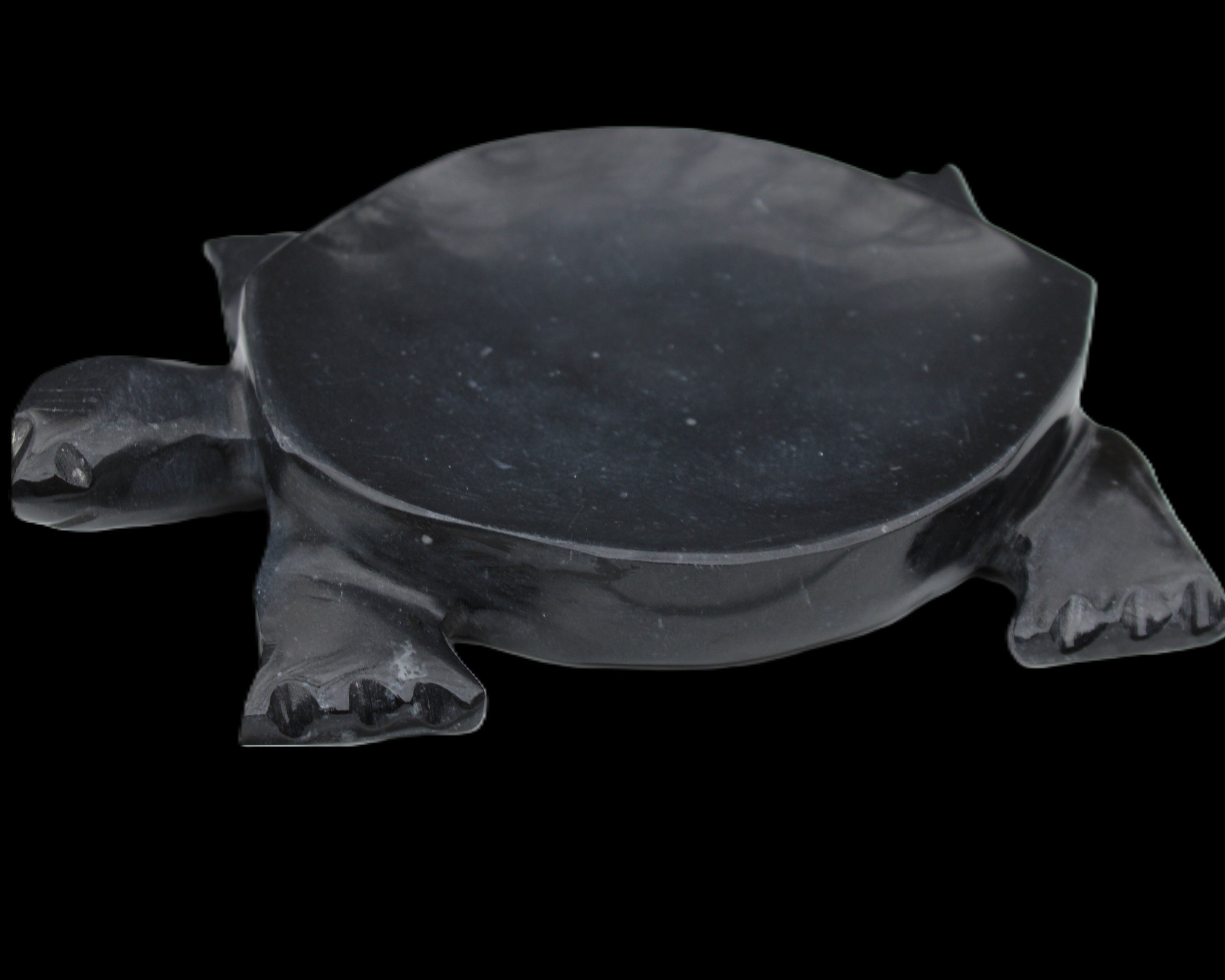 Black Jade hand-carved Turtle platter 152**113*21mm 552g in sunlight - Rocks and Things Store