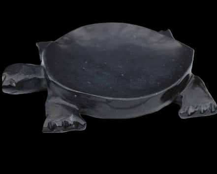 Black Jade hand-carved Turtle platter 152**113*21mm 552g in sunlight - Rocks and Things Store