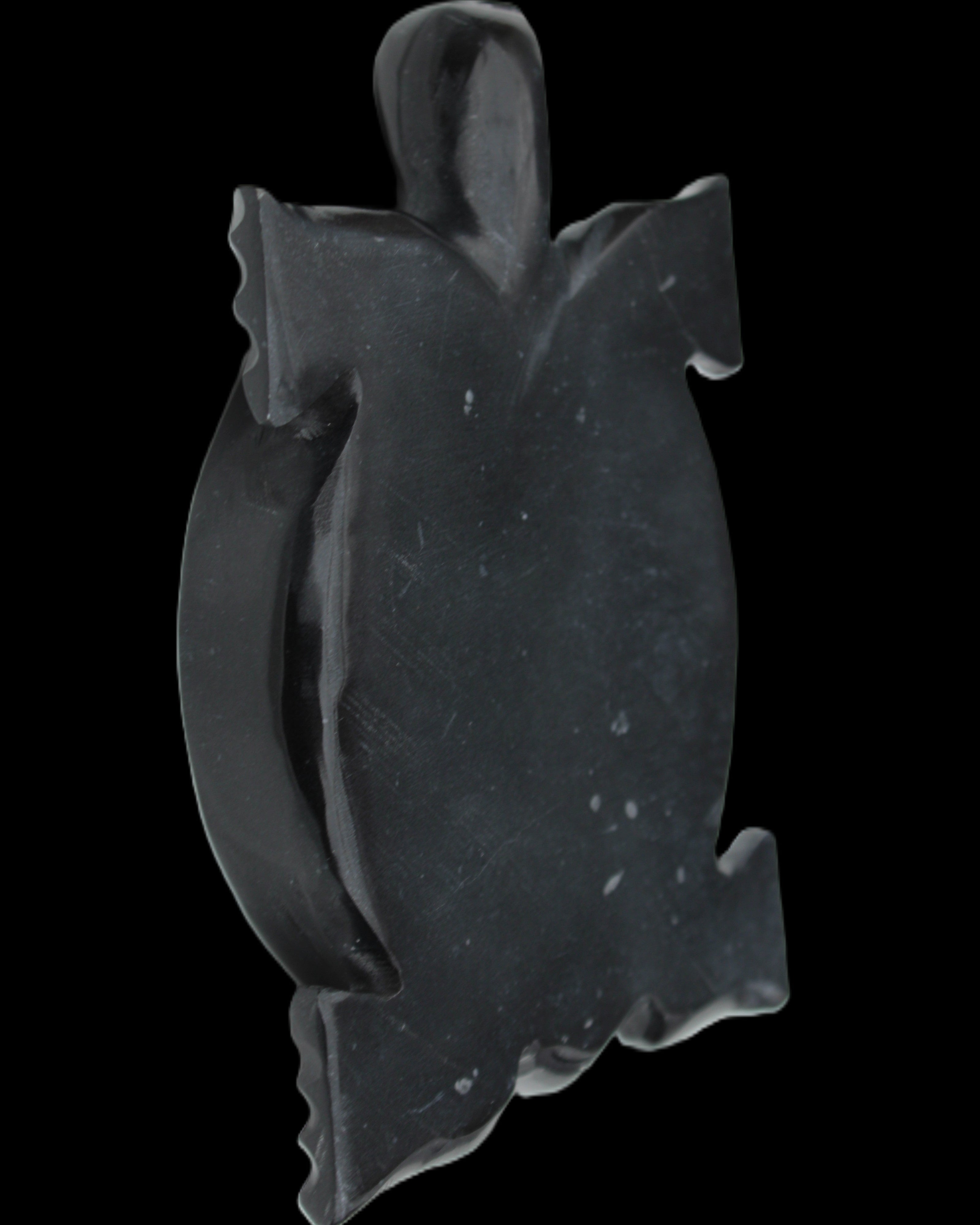 Black Jade hand-carved Turtle platter 152**113*21mm 552g in sunlight - Rocks and Things Store