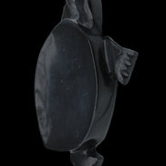 Black Jade hand-carved Turtle platter 152**113*21mm 552g in sunlight - Rocks and Things Store