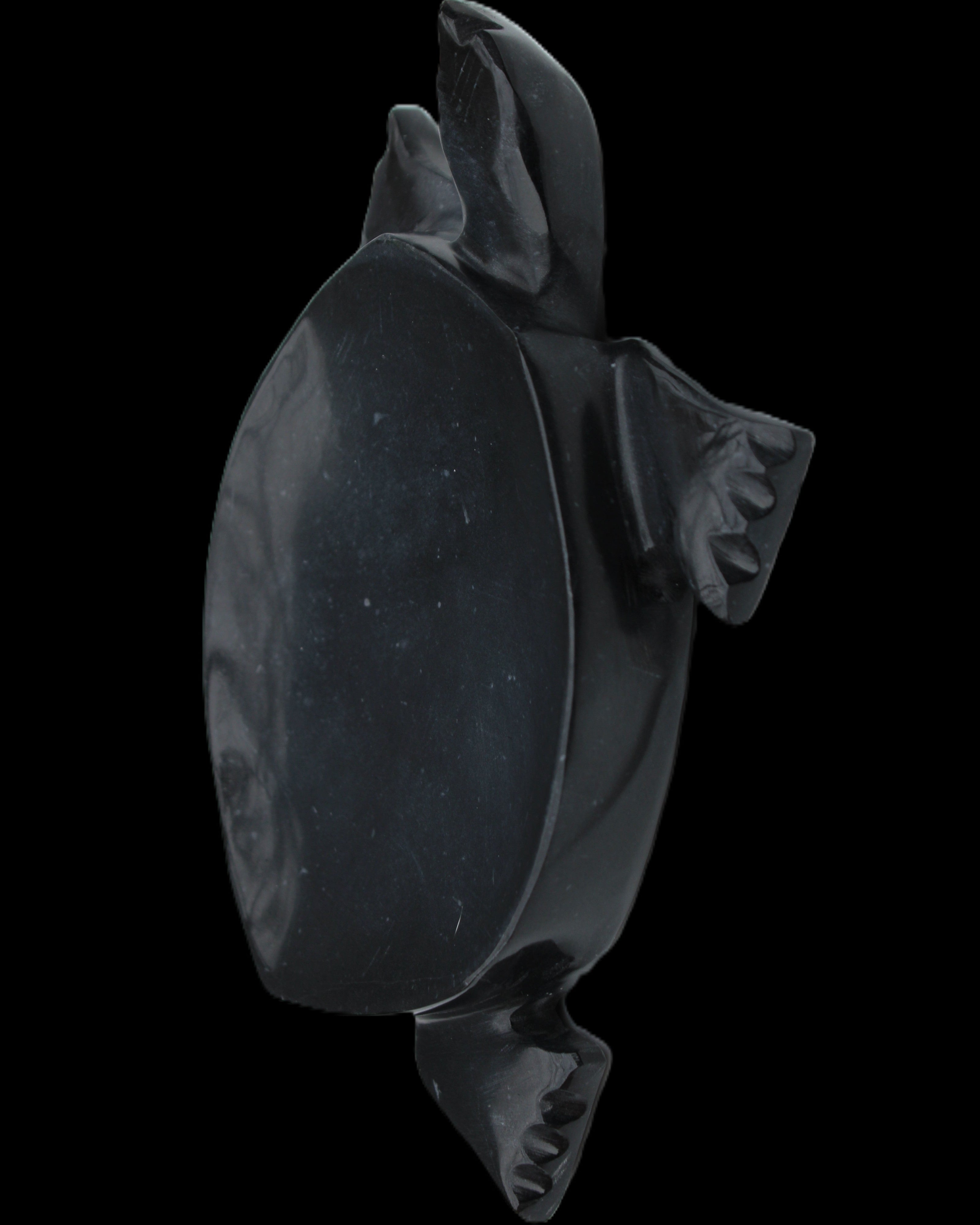 Black Jade hand-carved Turtle platter 152**113*21mm 552g in sunlight - Rocks and Things Store
