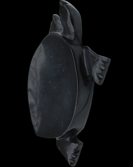 Black Jade hand-carved Turtle platter 152**113*21mm 552g in sunlight - Rocks and Things Store