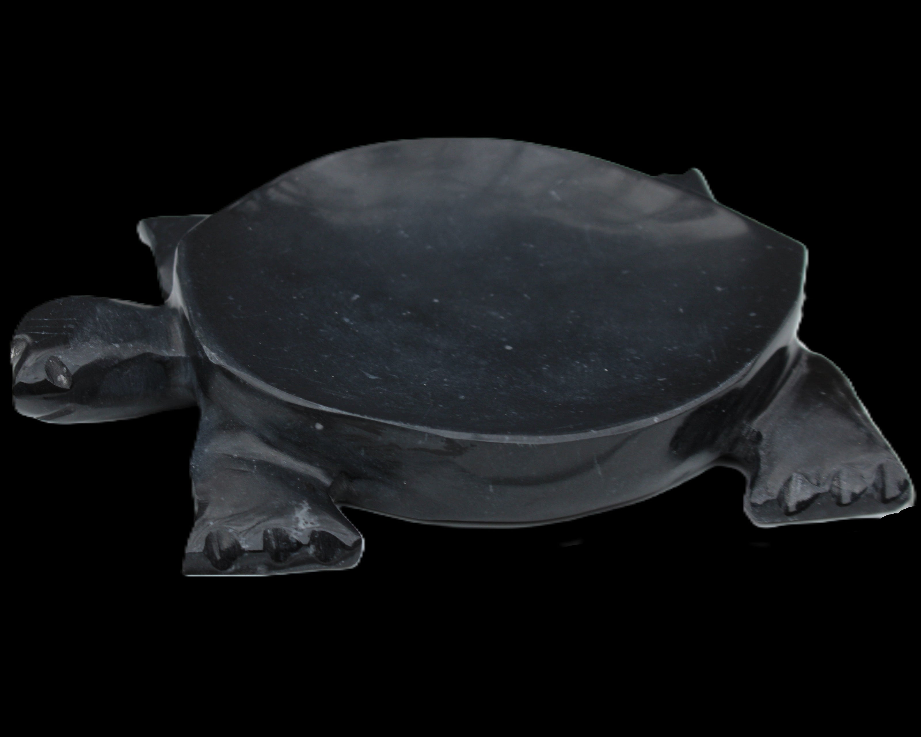 Black Jade hand-carved Turtle platter 152**113*21mm 552g in sunlight - Rocks and Things Store