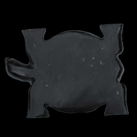 Black Jade hand-carved Turtle platter 152**113*21mm 552g in sunlight - Rocks and Things Store