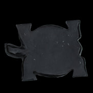 Black Jade hand-carved Turtle platter 152**113*21mm 552g in sunlight - Rocks and Things Store