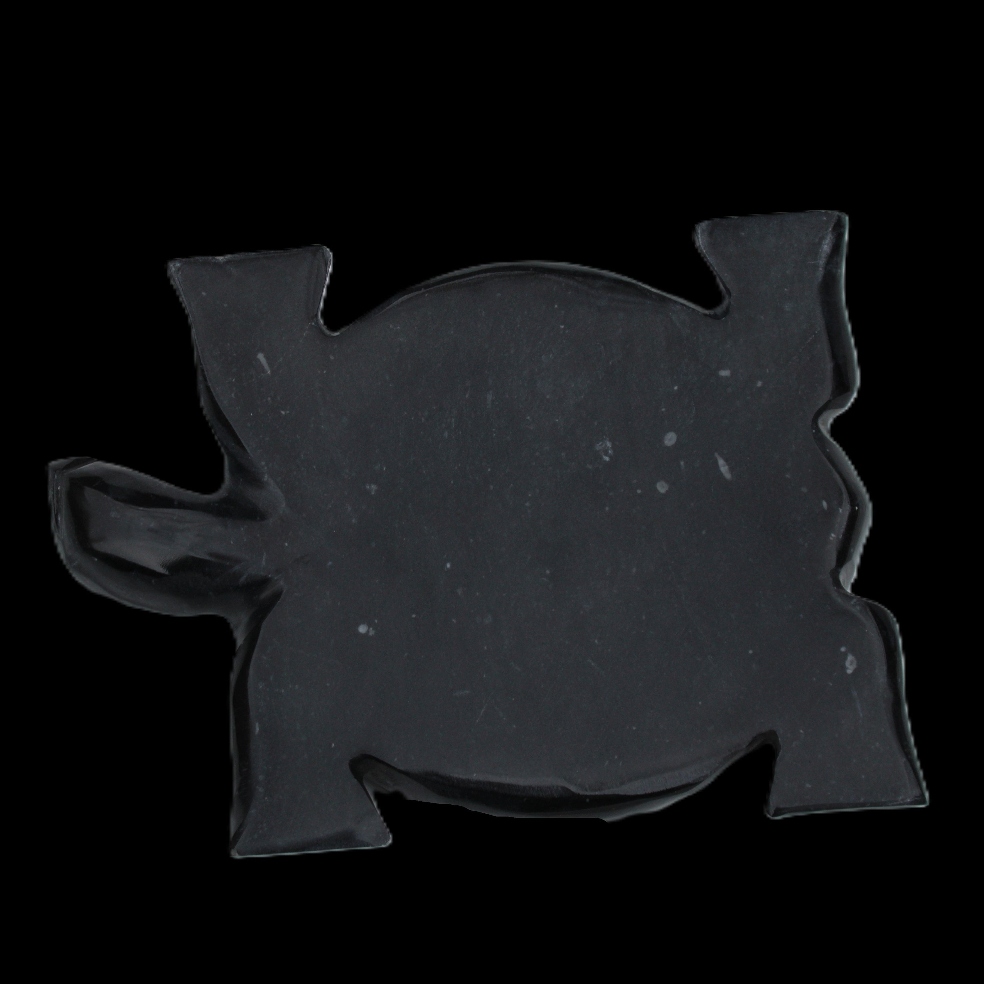 Black Jade hand-carved Turtle platter 152**113*21mm 552g in sunlight - Rocks and Things Store