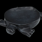Black Jade hand-carved Turtle platter 152**113*21mm 552g in sunlight - Rocks and Things Store