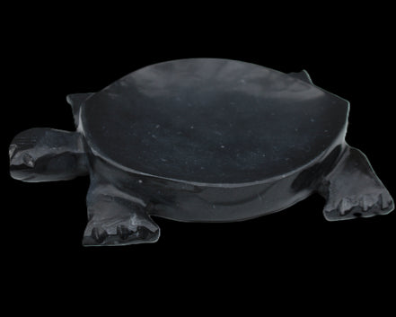 Black Jade hand-carved Turtle platter 152**113*21mm 552g in sunlight - Rocks and Things Store