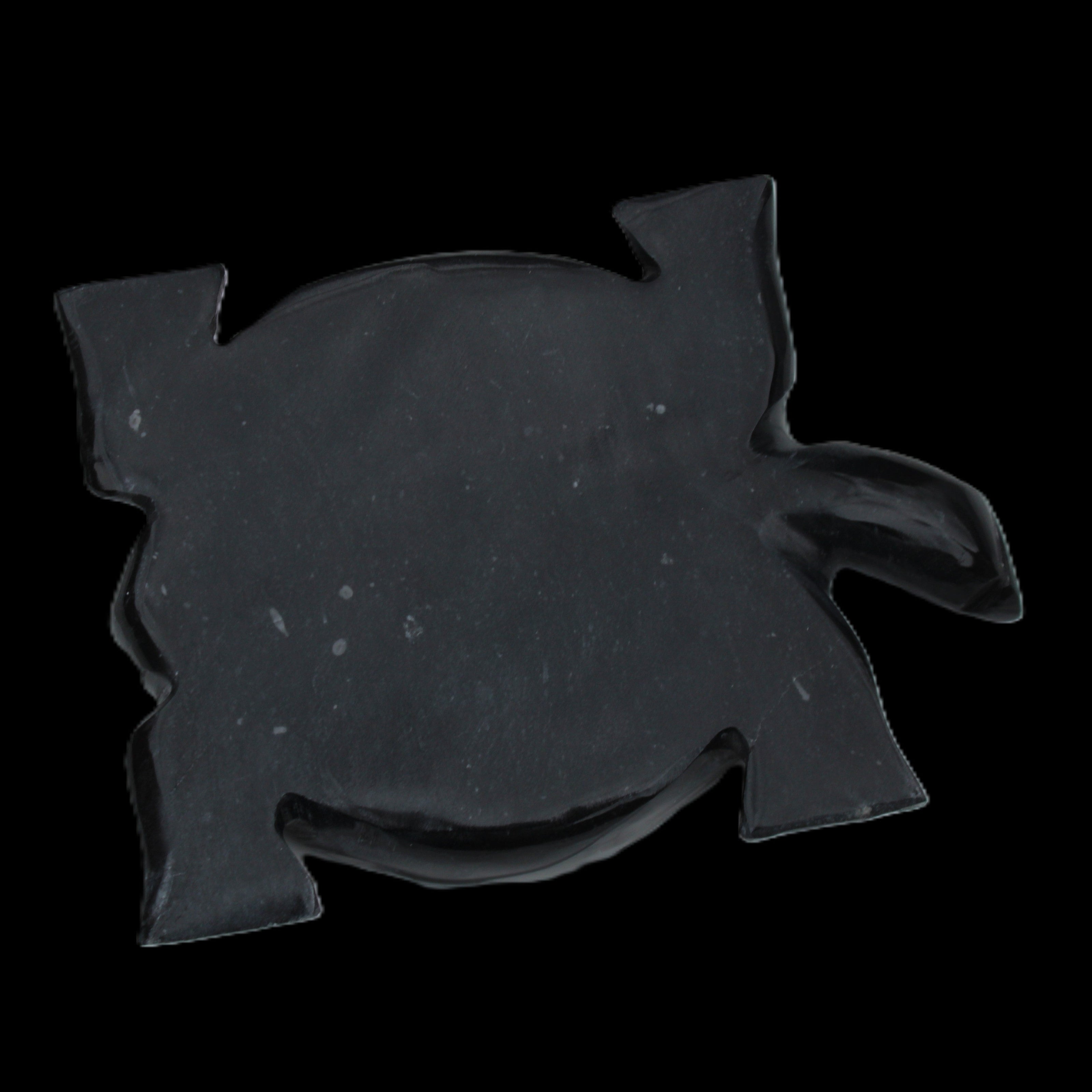 Black Jade hand-carved Turtle platter 152**113*21mm 552g in sunlight - Rocks and Things Store