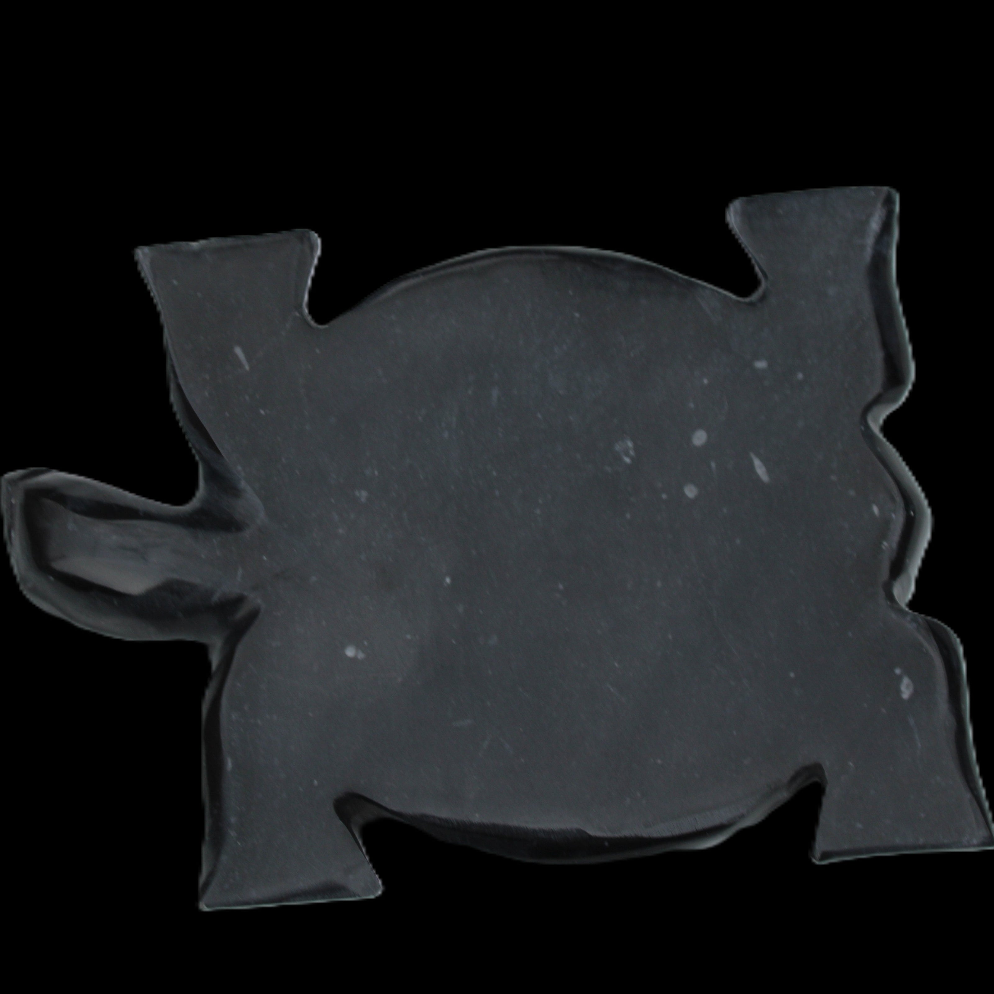 Black Jade hand-carved Turtle platter 152**113*21mm 552g in sunlight - Rocks and Things Store