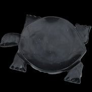 Black Jade hand-carved Turtle platter 152**113*21mm 552g in sunlight - Rocks and Things Store
