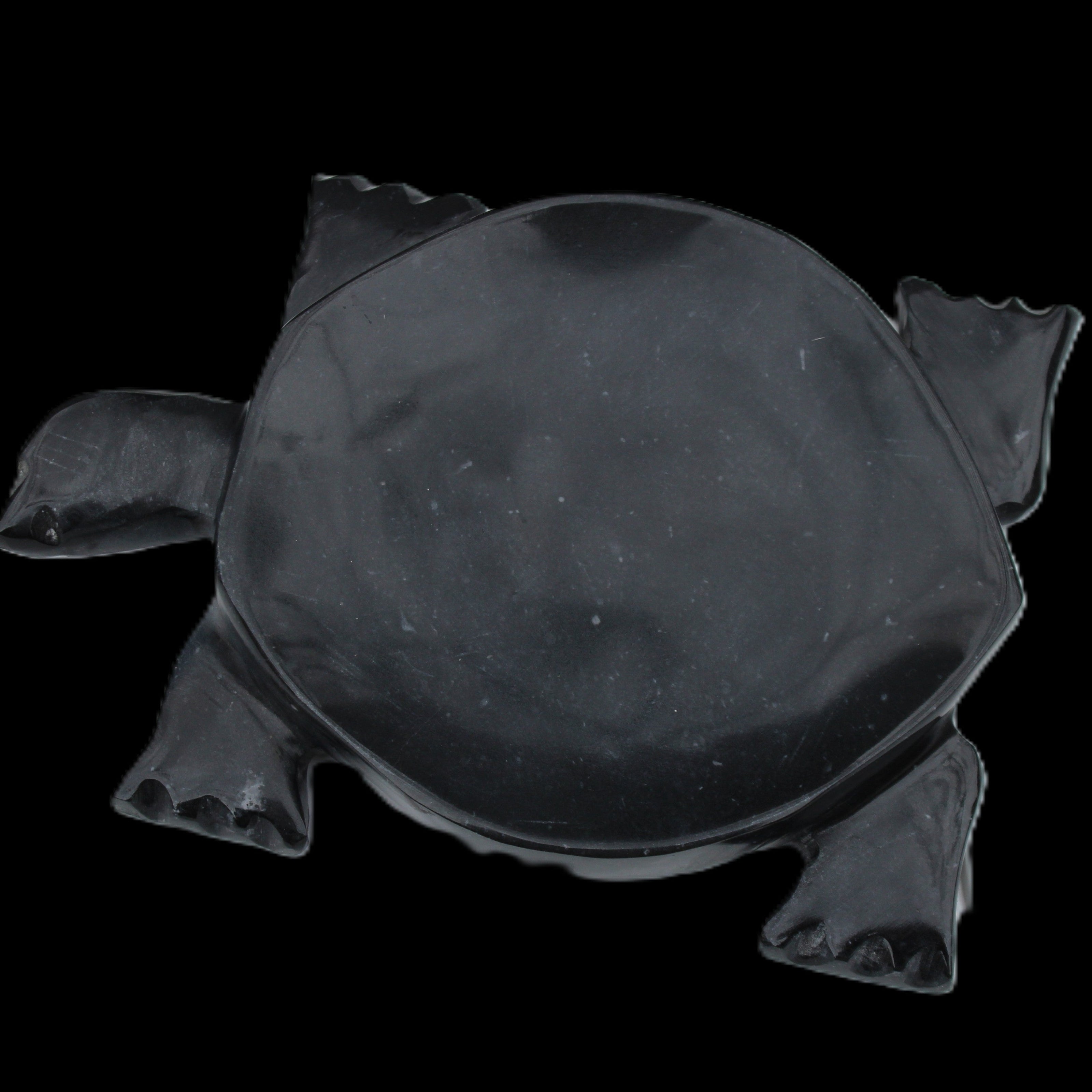 Black Jade hand-carved Turtle platter 152**113*21mm 552g in sunlight - Rocks and Things Store