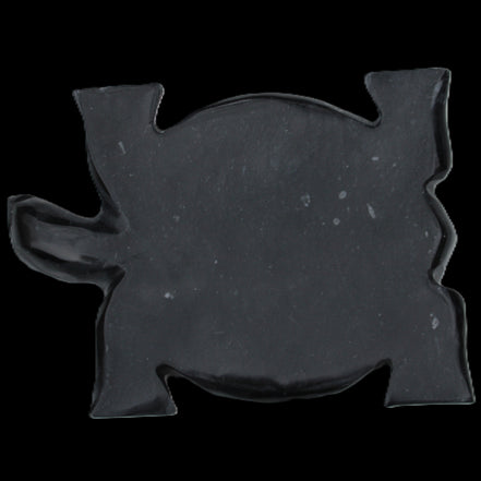 Black Jade hand-carved Turtle platter 152**113*21mm 552g in sunlight - Rocks and Things Store