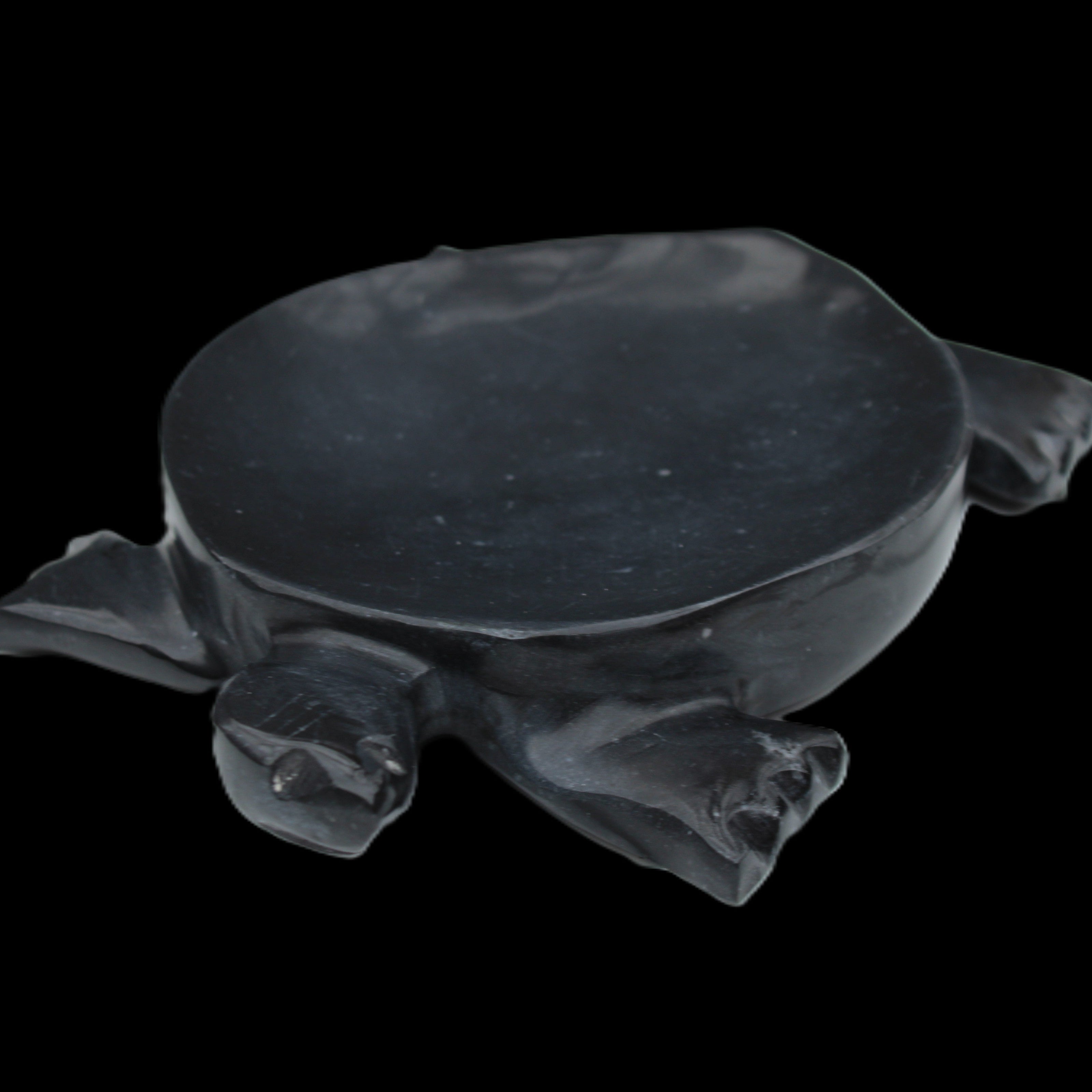 Black Jade hand-carved Turtle platter 152**113*21mm 552g in sunlight - Rocks and Things Store