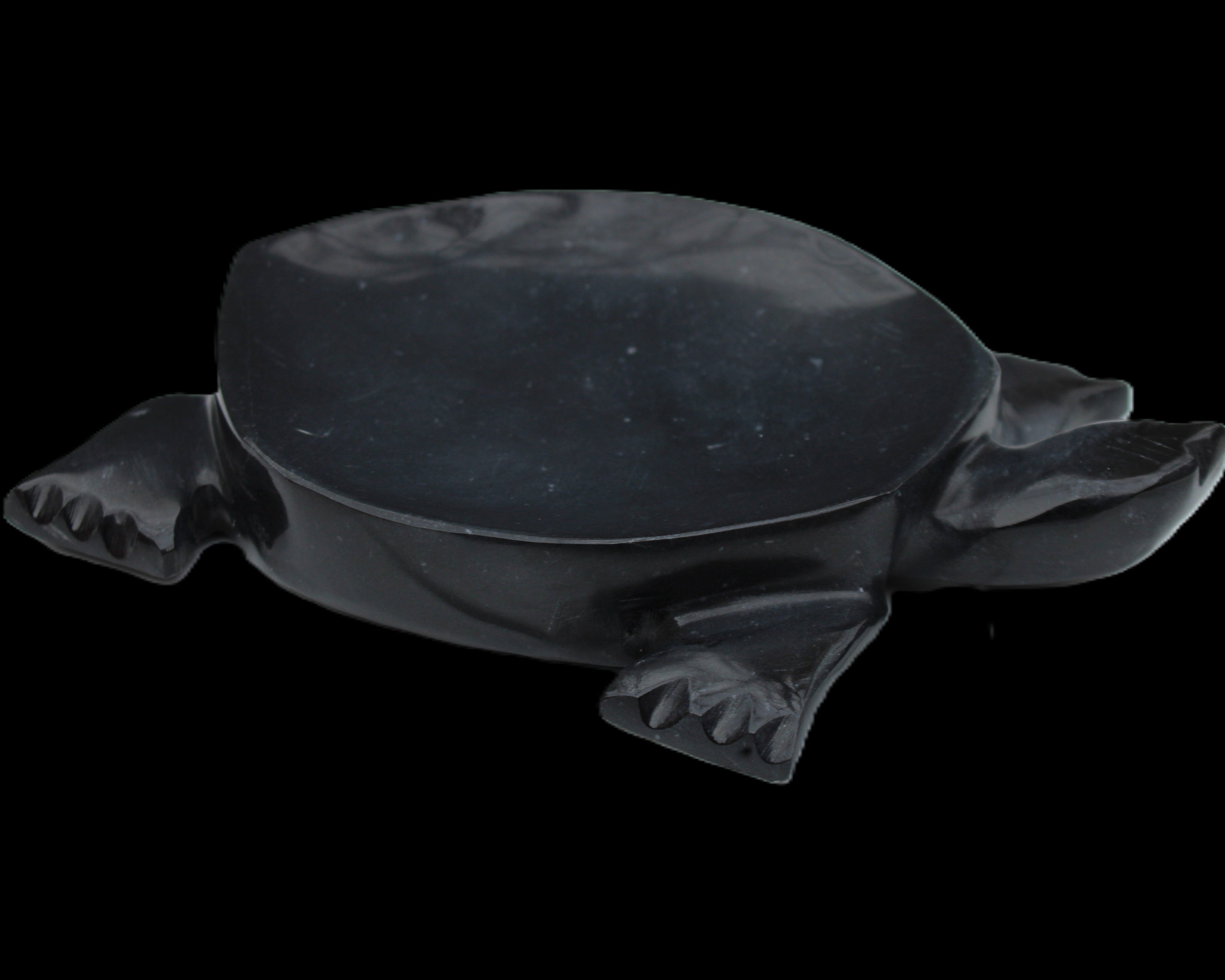 Black Jade hand-carved Turtle platter 152**113*21mm 552g in sunlight - Rocks and Things Store