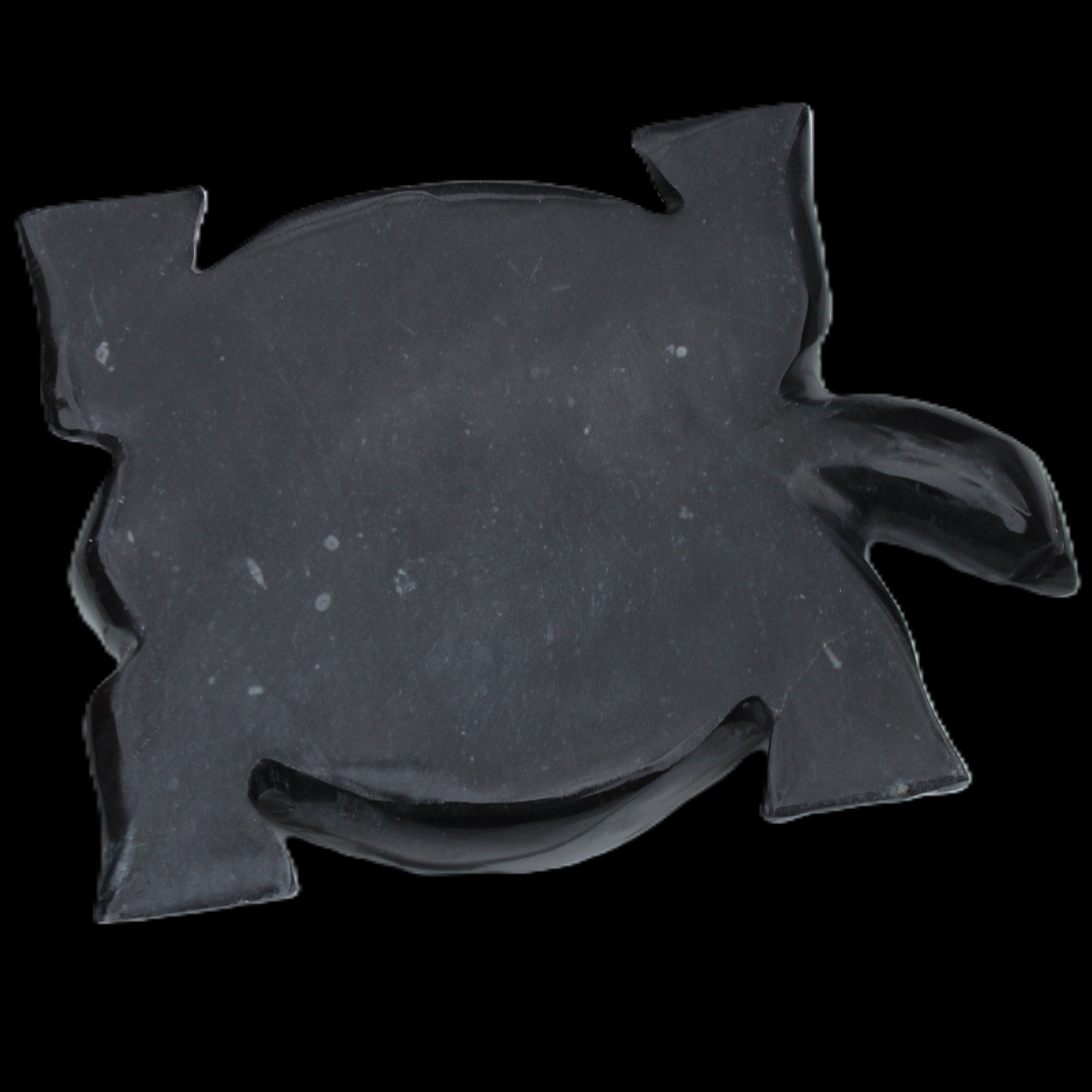 Black Jade hand-carved Turtle platter 152**113*21mm 552g in sunlight - Rocks and Things Store