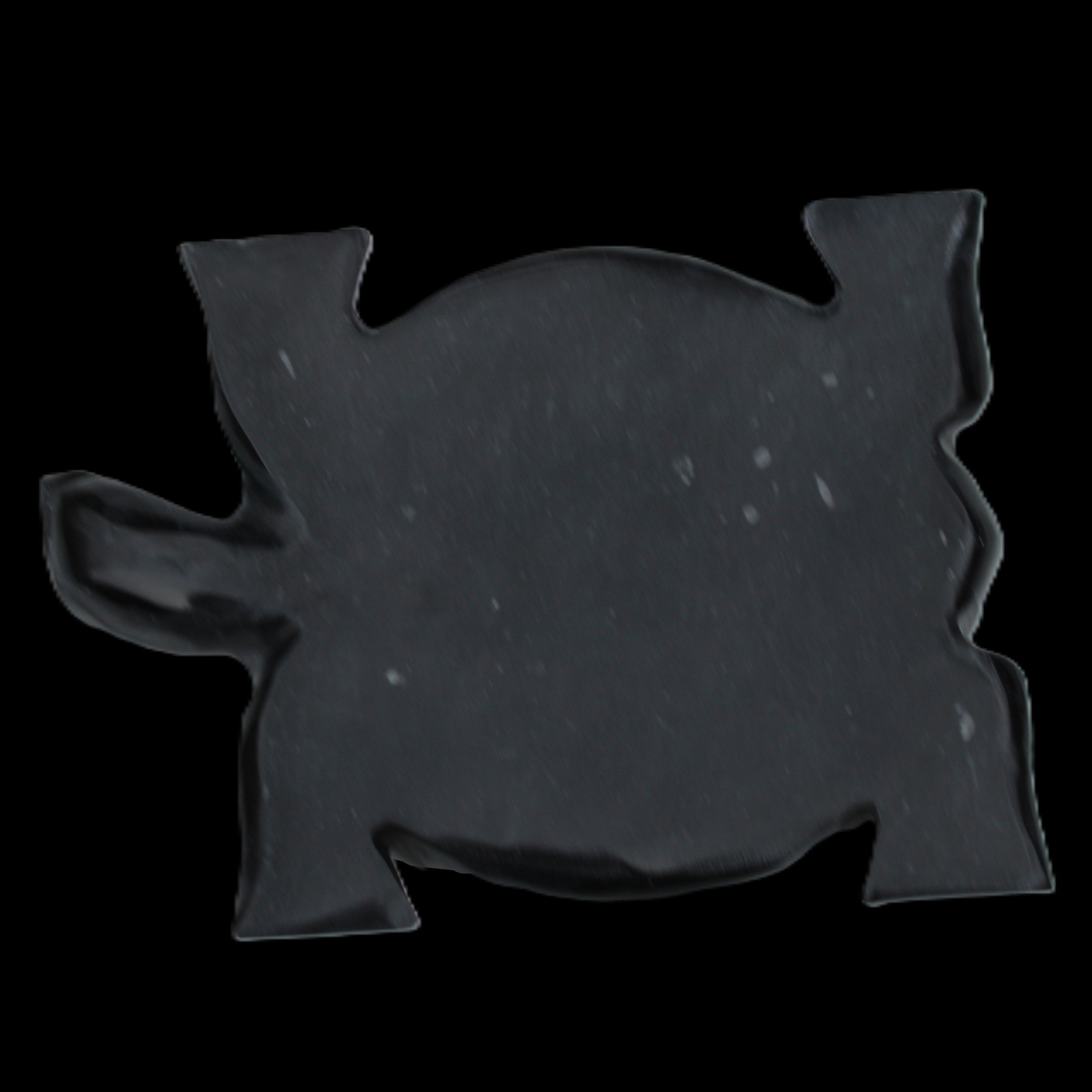 Black Jade hand-carved Turtle platter 152**113*21mm 552g in sunlight - Rocks and Things Store