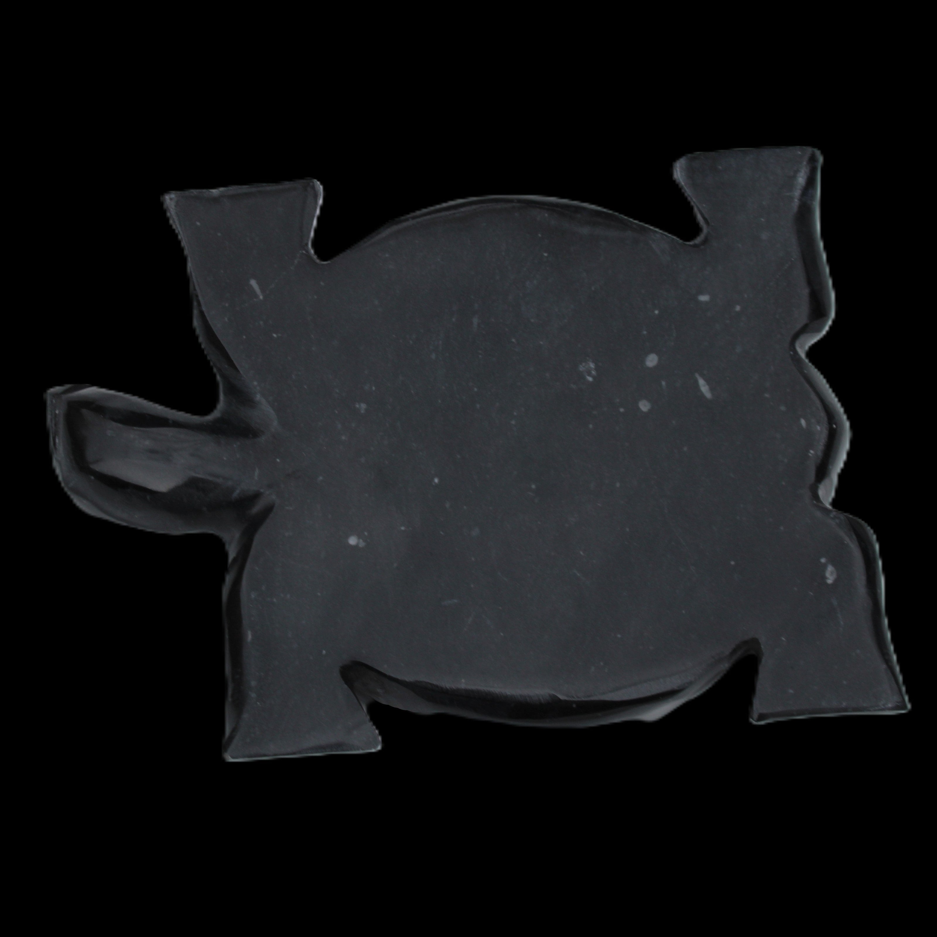 Black Jade hand-carved Turtle platter 152**113*21mm 552g in sunlight - Rocks and Things Store