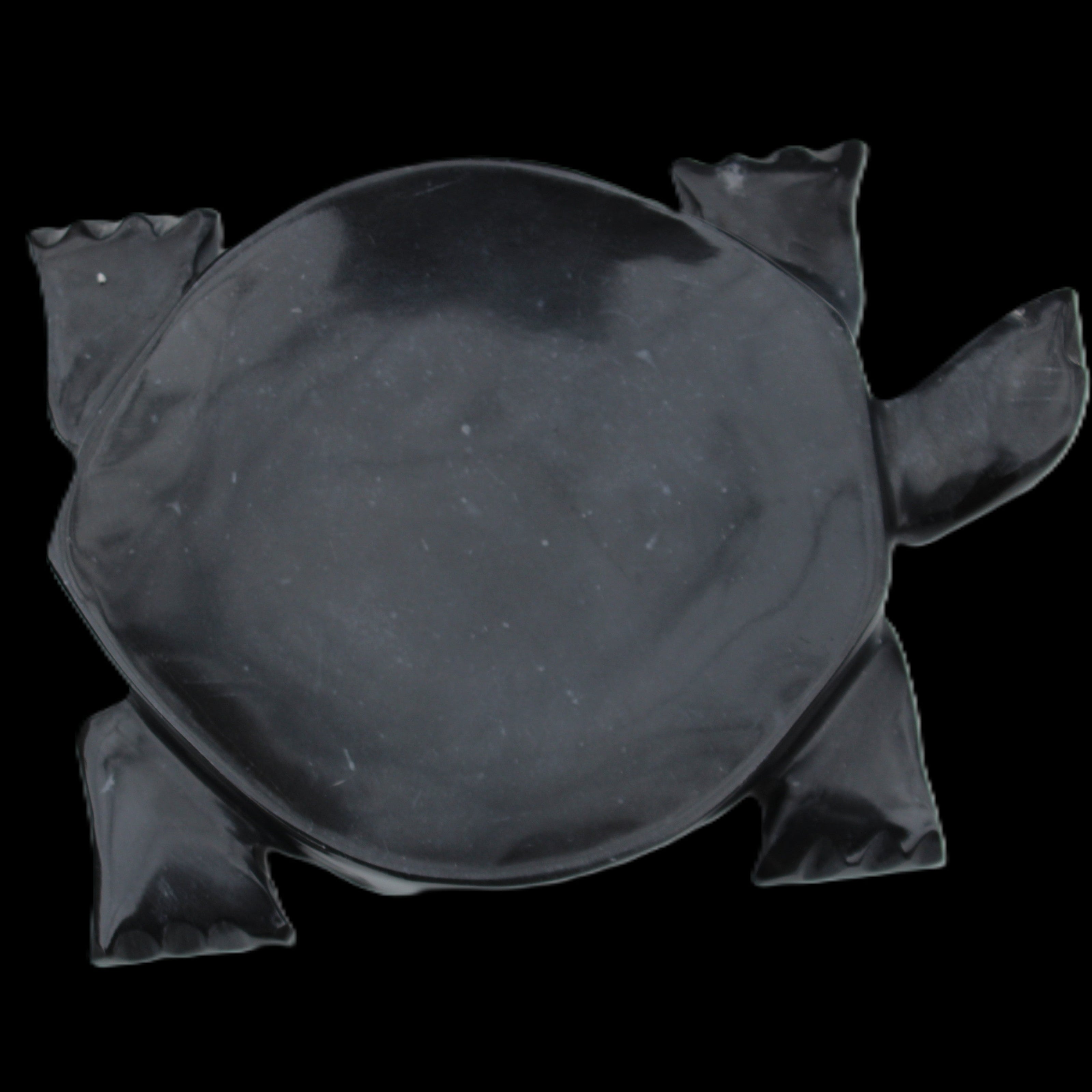 Black Jade hand-carved Turtle platter 152**113*21mm 552g in sunlight - Rocks and Things Store