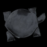 Black Jade hand-carved Turtle platter 152**113*21mm 552g in sunlight - Rocks and Things Store