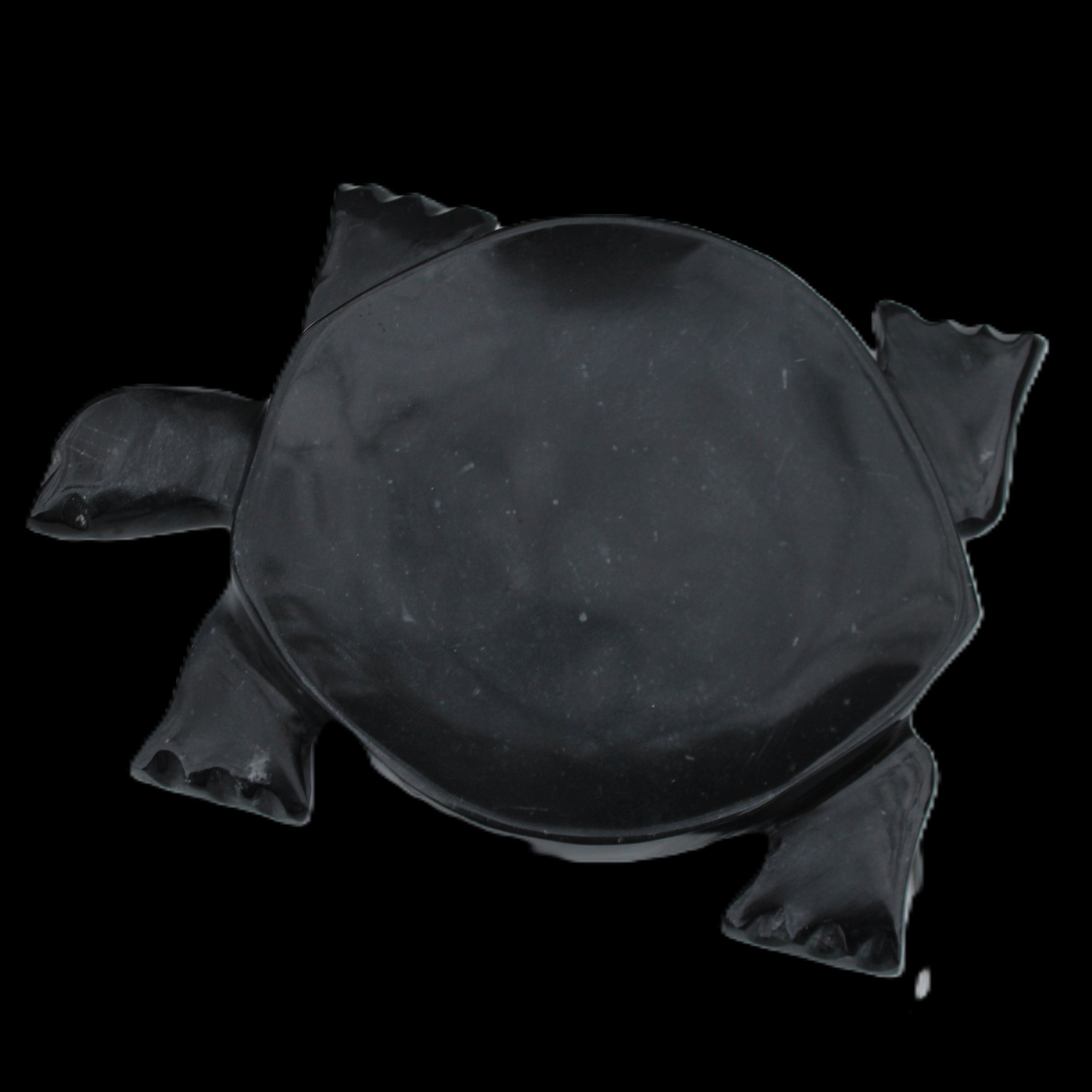 Black Jade hand-carved Turtle platter 152**113*21mm 552g in sunlight - Rocks and Things Store