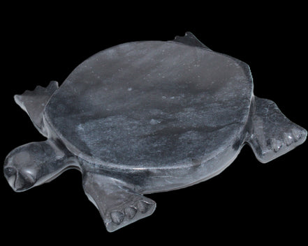 Black Jade hand-carved Turtle platter 155**113*20mm 472g in sunlight - Rocks and Things Store