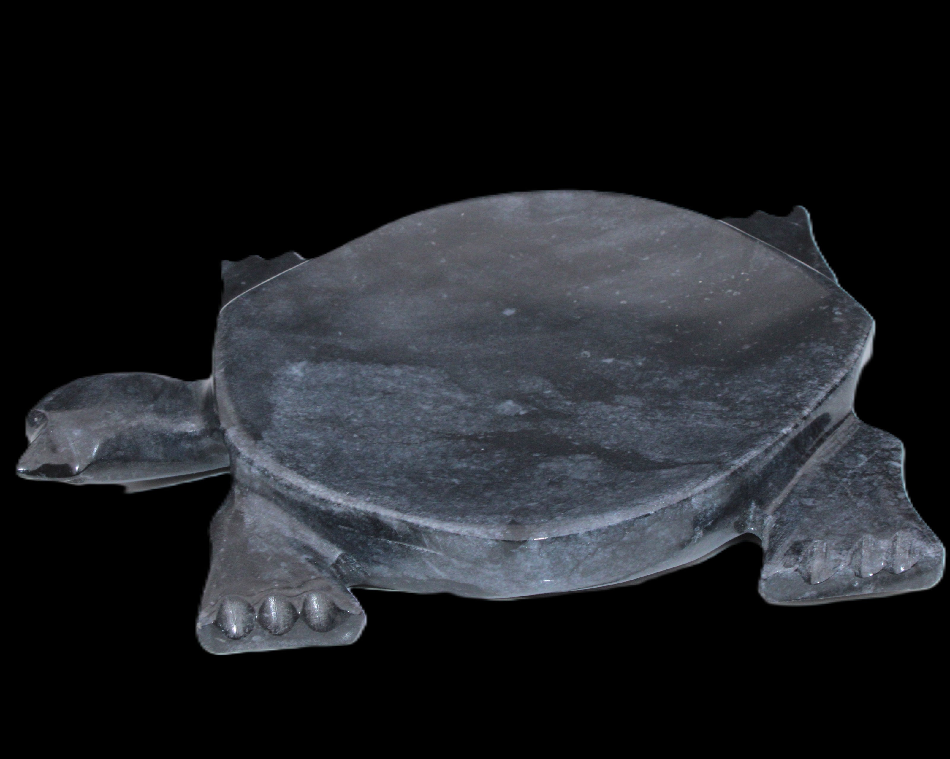 Black Jade hand-carved Turtle platter 155**113*20mm 472g in sunlight - Rocks and Things Store