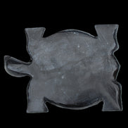 Black Jade hand-carved Turtle platter 155**113*20mm 472g in sunlight - Rocks and Things Store