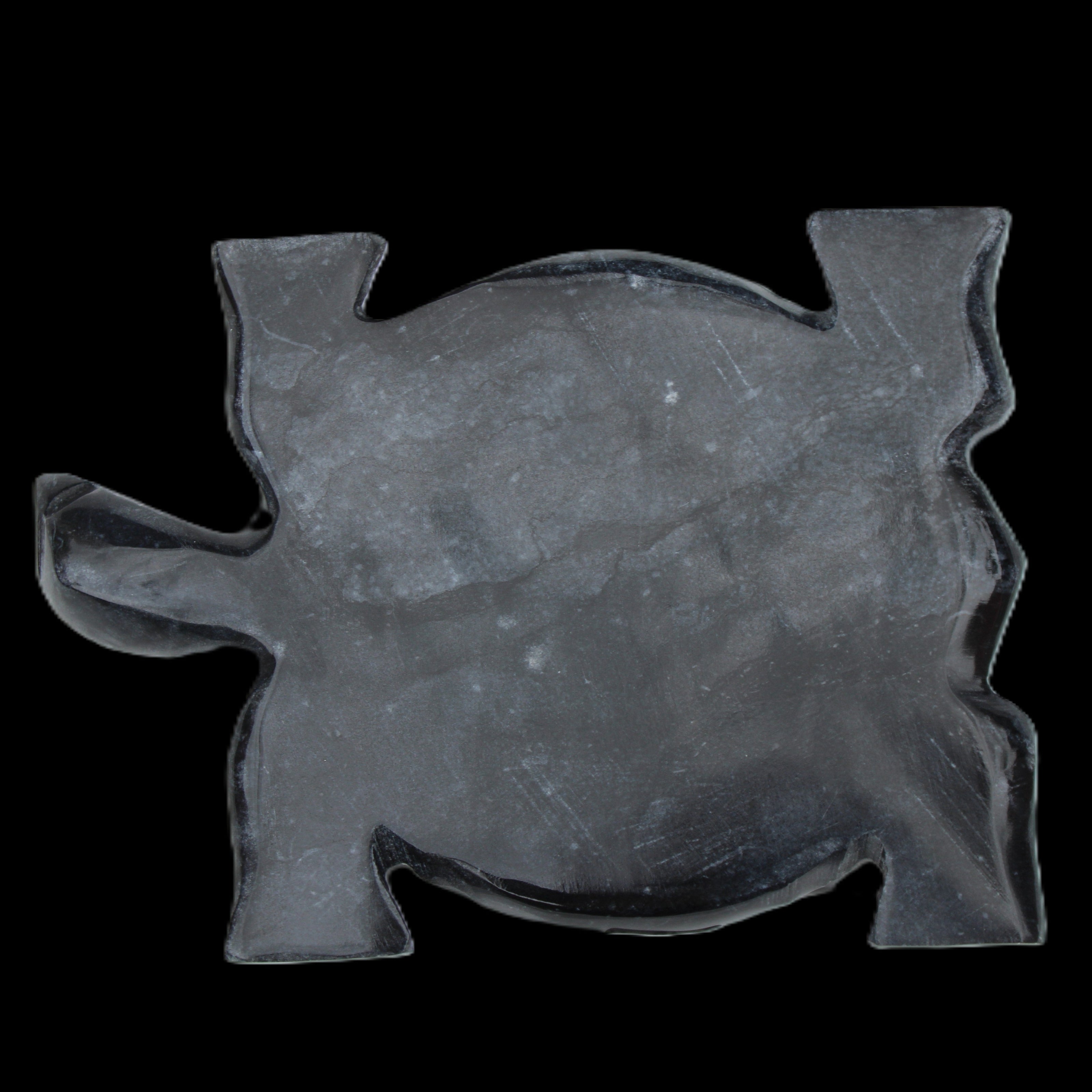 Black Jade hand-carved Turtle platter 155**113*20mm 472g in sunlight - Rocks and Things Store
