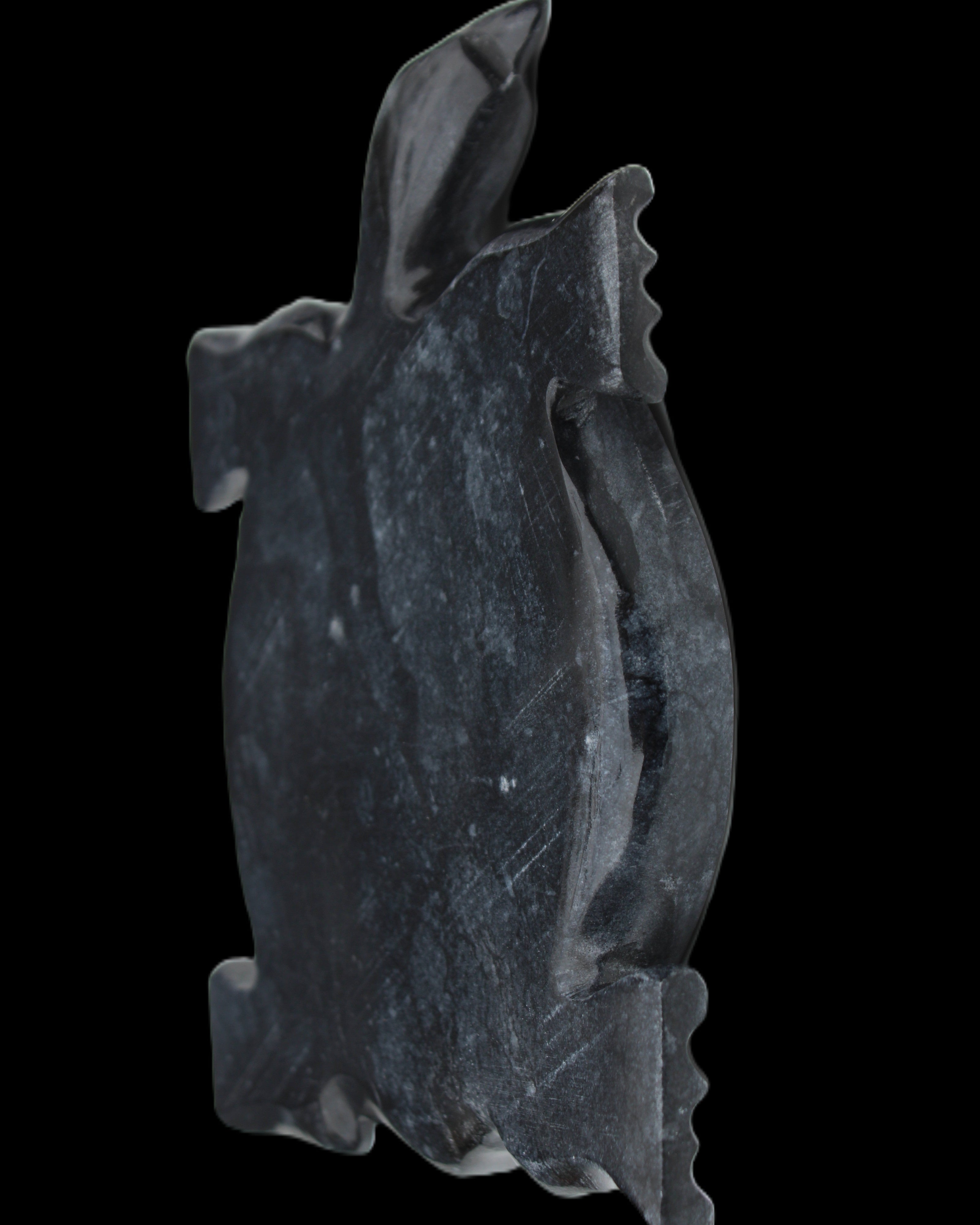 Black Jade hand-carved Turtle platter 155**113*20mm 472g in sunlight - Rocks and Things Store