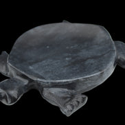 Black Jade hand-carved Turtle platter 155**113*20mm 472g in sunlight - Rocks and Things Store