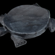 Black Jade hand-carved Turtle platter 155**113*20mm 472g in sunlight - Rocks and Things Store