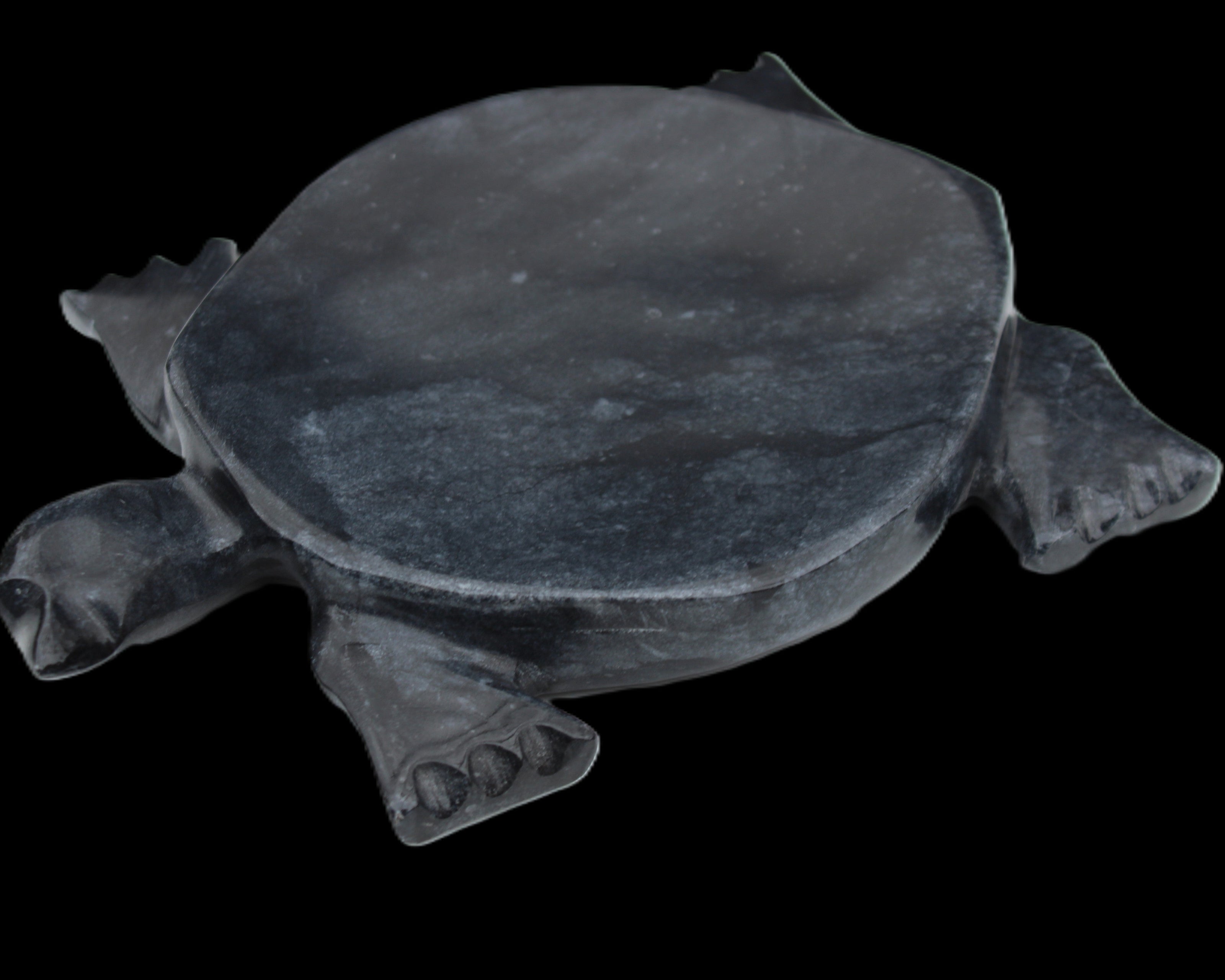 Black Jade hand-carved Turtle platter 155**113*20mm 472g in sunlight - Rocks and Things Store