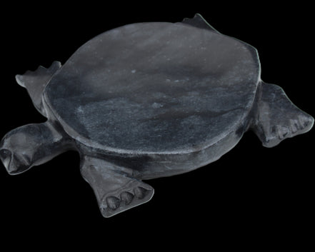 Black Jade hand-carved Turtle platter 155**113*20mm 472g in sunlight - Rocks and Things Store